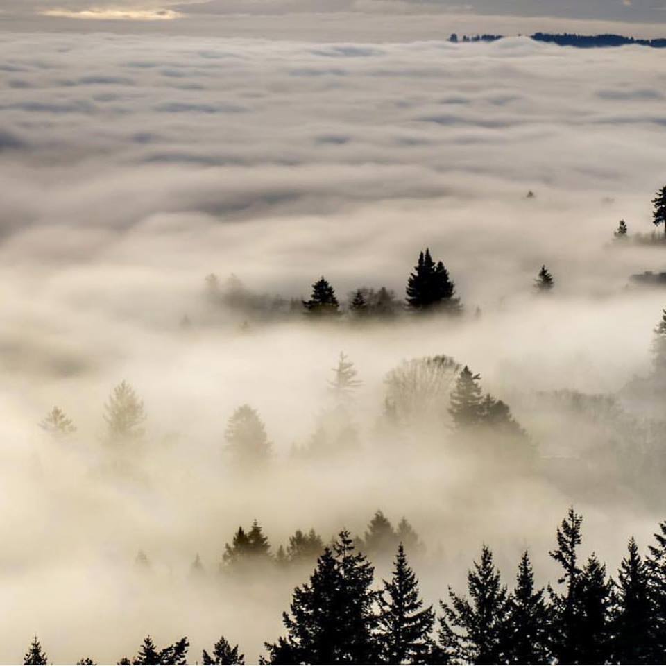 PDX in the Clouds! Photo by @brianshaner 