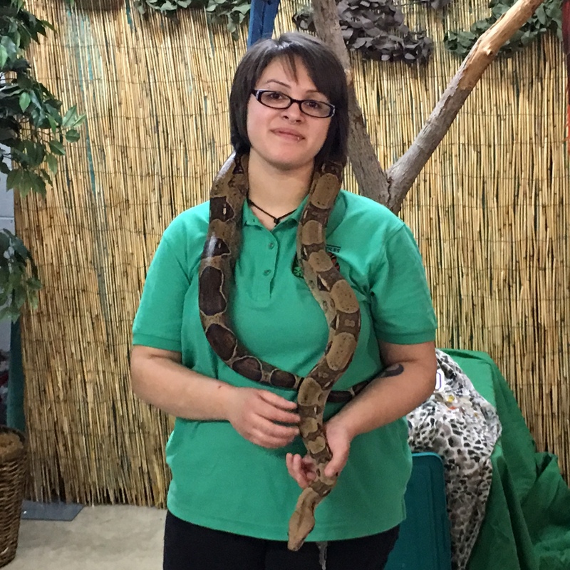 Pacific NW Reptile & Exotic Animal Show - 8